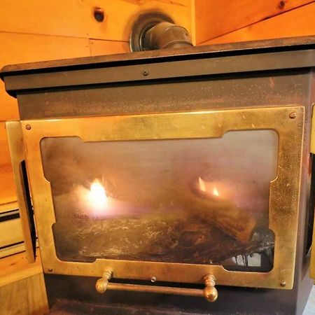 Alpine Mountain Sweetheart Cabin Jacuzzi #8 海伦 外观 照片
